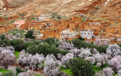 Tour de 15 días desde Tánger al desierto, pasando por las ciudades imperiales: