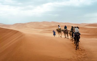 Tour de 6 días desde Fez al desierto de Merzouga, fin de viaje en Marrakech